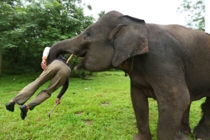 प्रतीकात्मक